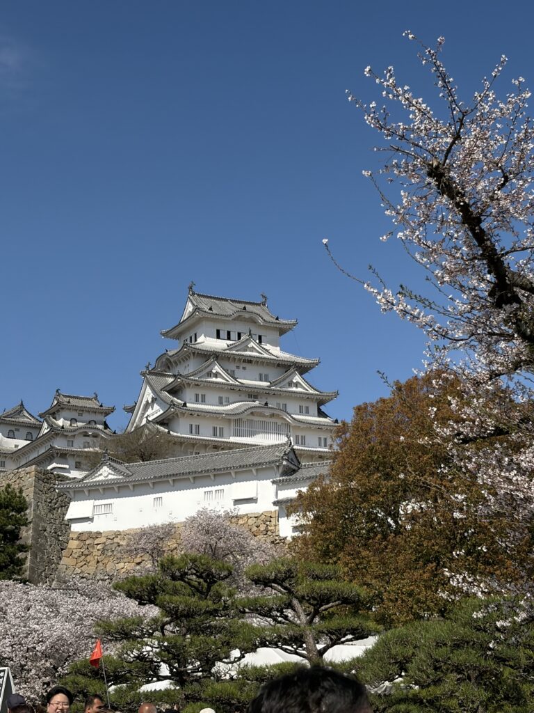 02ec7387 31fe 462b 9f81 0d7679b2d354